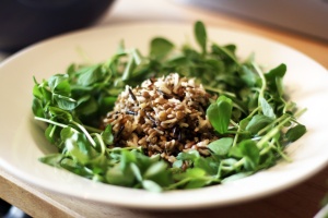 Delicious gluten free warm mackerel, lentil, aubergine, and wild rice salad, served here with fresh pea shoots. So salty, so delicious, so moreish!