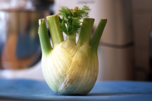 Frondy raw fennel - don't be put off, it's easy and delicious!