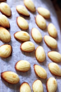 Fresh out of the pan Madeleines. Buttery mini mouthfuls of loveliness! 